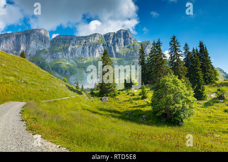 Promenade dans une prairie à l'Eggstock, Alpes Suisses, Suisse Banque D'Images