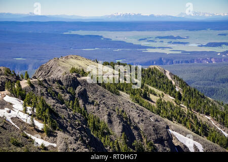 Paysage de la piste vers Mt Washburn, Yellowstone National Park Banque D'Images