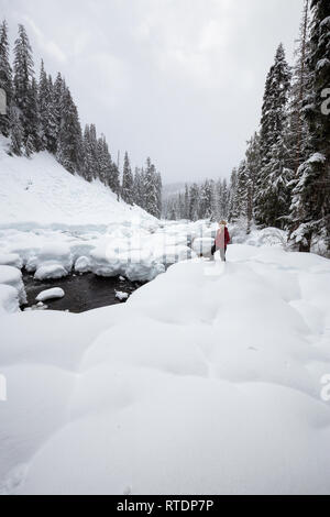 Caucasian girl blonde profite des beaux paysages d'hiver du Canada au cours d'un jour de neige. Pris dans Alexander Falls, près de Whistler et de Squamish, Nort Banque D'Images