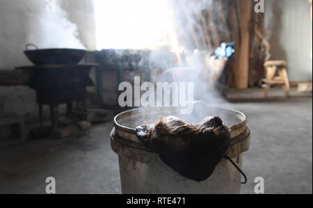 (190301) -- ALTAY, 1 mars 2019 (Xinhua) -- Photo prise le 16 janvier 2019 montre des morceaux de horsehide trempées dans l'eau chaude à Silanbek Sahshi dans l'atelier d'Altay, nord-ouest de la Chine, la Région autonome du Xinjiang Uygur. Silanbek Sahshi, un homme de 65 ans d'ethnie kazakhe, est un héritier de fourrure traditionnel-snowboard de décisions au Xinjiang. Comme l'héritier de la quatrième génération de sa famille, Silanbek a été engagé dans l'artisanat depuis près de 50 ans.La fourrure snowboards sont faits de bois de bouleau ou de pin et couverte de horsehide. L'horsehide peut fournir la friction lorsqu'skieurs monter, comme le Banque D'Images