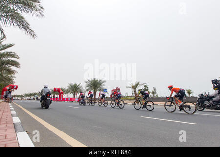 Ras Al Khaimah, Ras Al Khaimah, Émirats arabes unis. 1er mars 2019. Les cyclistes vu racing lors de la sixième étape de la course cycliste professionnelle seulement au Moyen-Orient qui a été achevé à Jabal Siae Mountain à Ras Al Khaimah. L'étape de 180 km a commencé à Ajman et terminé à Jabal Siae Mountain. L'actuel chef de l'équipe de Primoz Roglic était-Jumbo VISMA. Crédit : Mike Hook/SOPA Images/ZUMA/Alamy Fil Live News Banque D'Images