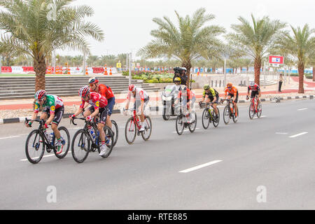 Ras Al Khaimah, Ras Al Khaimah, Émirats arabes unis. 1er mars 2019. Les cyclistes vu racing lors de la sixième étape de la course cycliste professionnelle seulement au Moyen-Orient qui a été achevé à Jabal Siae Mountain à Ras Al Khaimah. L'étape de 180 km a commencé à Ajman et terminé à Jabal Siae Mountain. L'actuel chef de l'équipe de Primoz Roglic était-Jumbo VISMA. Crédit : Mike Hook/SOPA Images/ZUMA/Alamy Fil Live News Banque D'Images