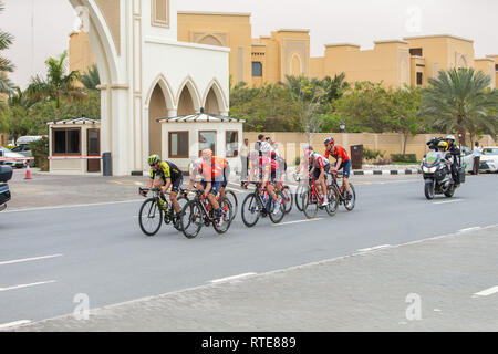 Ras Al Khaimah, Ras Al Khaimah, Émirats arabes unis. 1er mars 2019. Les cyclistes vu racing lors de la sixième étape de la course cycliste professionnelle seulement au Moyen-Orient qui a été achevé à Jabal Siae Mountain à Ras Al Khaimah. L'étape de 180 km a commencé à Ajman et terminé à Jabal Siae Mountain. L'actuel chef de l'équipe de Primoz Roglic était-Jumbo VISMA. Crédit : Mike Hook/SOPA Images/ZUMA/Alamy Fil Live News Banque D'Images