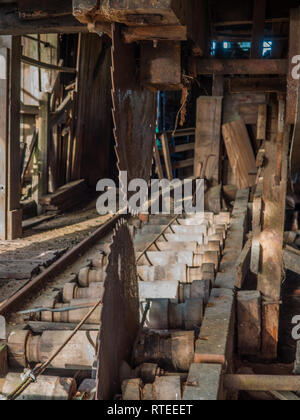 Briser les grumes, Endeans Mill, Waimiha Sawmilling, Ongarue, King Country, Nouvelle-Zélande Banque D'Images