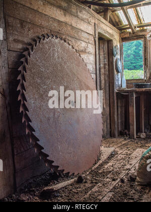 Lames de scie circulaire, Endeans Mill, Waimiha Sawmilling, Ongarue, King Country, Nouvelle-Zélande Banque D'Images