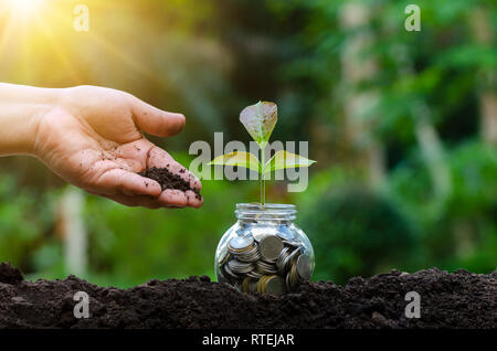 Mettre de l'argent main Billets Bouteille Image de l'arbre avec des billets de banque d'affaires de plus en plus sur le haut fond naturel vert l'économie d'argent et d'investissement fi Banque D'Images