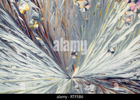 Les cristaux de conservation alimentaire appelé l'acide citrique, de l'image du microscope photographié en contre-lumière polarisée Banque D'Images