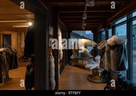 Ours polaire en peluche (Ursus maritimus), boutique, Longyearbyen, Spitsbergen, Svalbard, Norvège Banque D'Images
