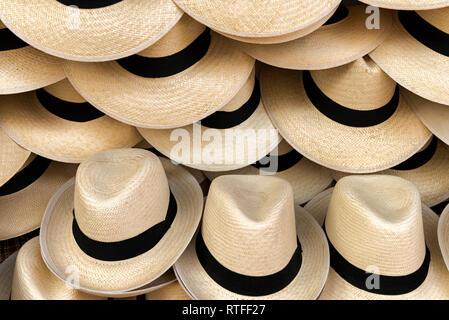 Panama hats (chapeaux de paille) Banque D'Images