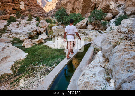 Sultanat d'Oman, gouvernorat de Ash Sharqiyah, Wadi ash Shab, falaj, canaux d'irrigation Banque D'Images