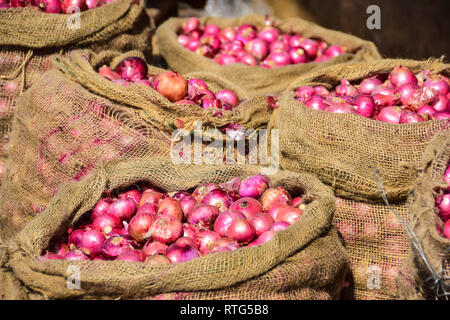 Sacs d'oignons rouges, Goubert Market, Pondichéry, Pondichéry, Tamil Nadu, Inde Banque D'Images