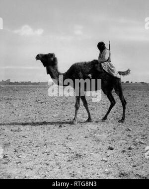 Le turkmène sur chameau, Iran 1920-30 Banque D'Images