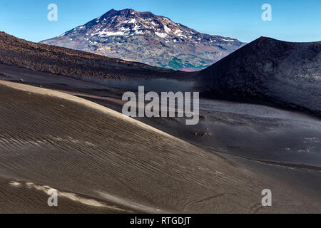 Volcan Lonquimay, Réserve nationale du Malalcahuello-Nalcas, région d'Araucania, Chili Banque D'Images