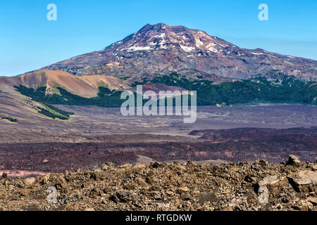 Volcan Lonquimay, Réserve nationale du Malalcahuello-Nalcas, région d'Araucania, Chili Banque D'Images