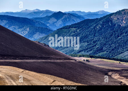 Volcan Lonquimay, Réserve nationale du Malalcahuello-Nalcas, région d'Araucania, Chili Banque D'Images