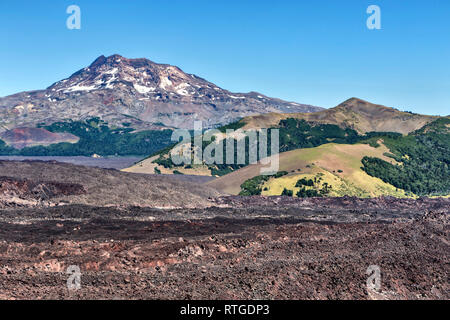 Volcan Lonquimay, Réserve nationale du Malalcahuello-Nalcas, région d'Araucania, Chili Banque D'Images