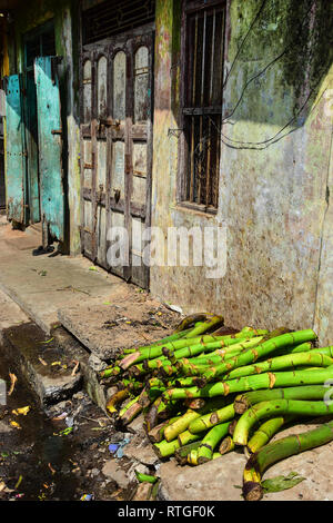 La canne à sucre, Goubert Market, Pondichéry, Pondichéry, Tamil Nadu, Inde Banque D'Images