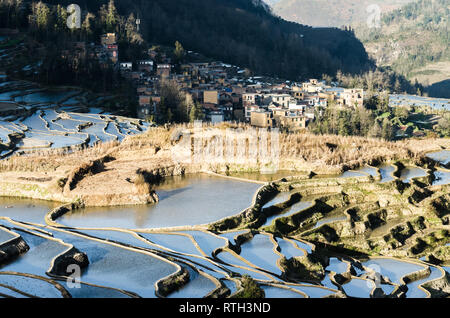 Les terrasses de riz de Duoyishu, Yuanyang, Yunnan Province, China Banque D'Images