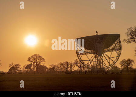 Le télescope de Jodrell Bank coucher du soleil Banque D'Images