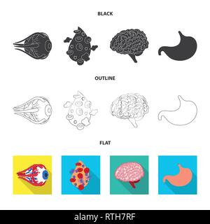 Globe oculaire,,sang,le cerveau,estomac,oeil,plasma,esprit,digestif cornée,cell,gastrique,renseignement,couches,couvrir,science,la douleur,la psychologie,don,structure,body,vue,maladie,génie,Protection,moteur,pericranium,estomac,pression,godronné acide,biologie,scientifique,recherche,,laboratoire anatomie,organe interne,,médical,des,santé,,set,icône,,illustration,collection,isolé,design,graphisme,élément vecteur vecteurs,signer , Illustration de Vecteur