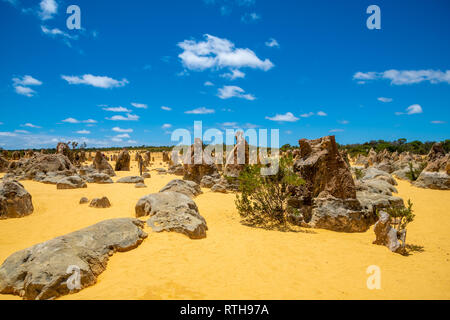 Des pierres sur le Désert des Pinnacles en Australie occidentale au nord de la ville de Perth Banque D'Images