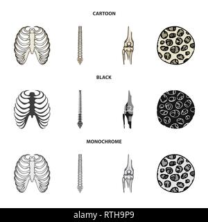 Nervure, colonne vertébrale,fémur,,fibre,cage,chiropratique,osseuses,sain,rx,base,jambe,scientifique,le corps,la colonne vertébrale,Genou,musculaires ostéoporose,tibia,,épithélium sternum,posture,péroné,épiderme,sternum,joints,tendon,mouvement,calcium cellule,chirurgie,dommage,la médecine,clinique,biologie,médical,os,,squelette anatomie,des,organes,,set,icône,,illustration,collection,isolé,design,graphisme,élément vecteur vecteurs,signer , Illustration de Vecteur