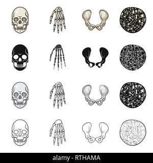 Crâne,poignet,ostéoporose de la hanche,la mort,main,,joints,cell,monster,bassin,calcium,tissus,le mal,chirurgie,structure,horreur,conjonctif,sain,bras,tatouage,cartilage,carpe,fémur,santé,tête,l'appareil locomoteur,eye,joints,rx,system,l'enfer,médecine, biologie médicale,clinique,os,squelette,anatomie,des,organes,,set,icône,,illustration,collection,isolé,design,graphisme,élément vecteur vecteurs,signer , Illustration de Vecteur