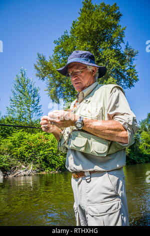 Un homme de 70 ans de pêche à la mouche dans la rivière Cedar, ouest de l'État de Washington, USA. Banque D'Images