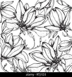 Magnolia fleurs Doodle vecteur doodles avec arrière-plan en noir et blanc à colorier Illustration de Vecteur