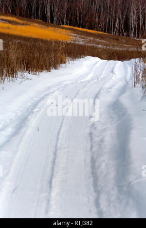 Route dans la forêt d'hiver, dans la région de Moscou, Russie Banque D'Images