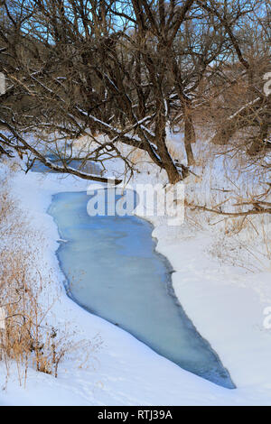 Rivière en forêt d'hiver, dans la région de Moscou, Russie Banque D'Images