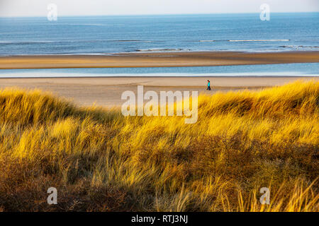 L'île de Langeoog, Mer du Nord Frise Orientale , Basse-Saxe, Allemagne, un paysage de dunes Banque D'Images