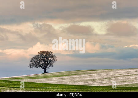 Copyspace disponible dans le paysage minimaliste d'un coteau agricole sous ciel nuageux ciel d'hiver et a jeté une mince couche de neige sur le terrain et une lon Banque D'Images