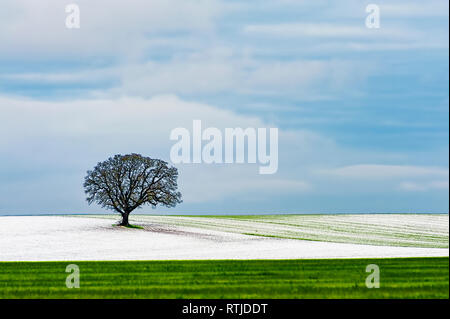 Copyspace disponible dans le paysage minimaliste d'un coteau agricole sous ciel nuageux ciel d'hiver et a jeté une mince couche de neige sur le terrain et une lon Banque D'Images