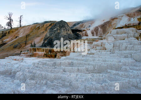 Terrasse monticule, Mammoth Hot Springs, Parc National de Yellowstone, États-Unis Banque D'Images