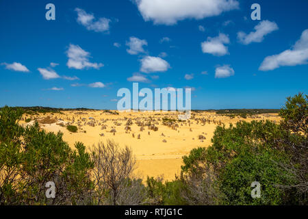 Le Désert des Pinnacles dans le soleil chaud de l'Australie Occidentale Banque D'Images