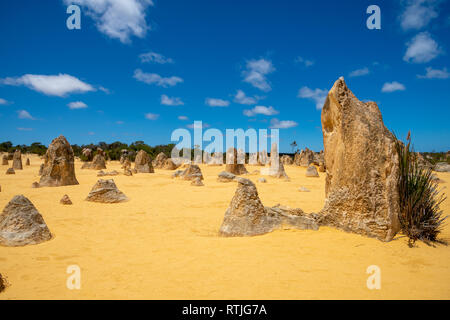 Aplomb des pierres sur le Désert des Pinnacles, dans l'ouest de l'Australie Banque D'Images