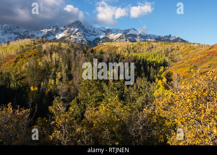 Mount Sneffels Montagnes avec un nouveau début de l'automne la neige. Tremble, pin et chêne Scrub ajouter à l'avant-plan coloré. Banque D'Images