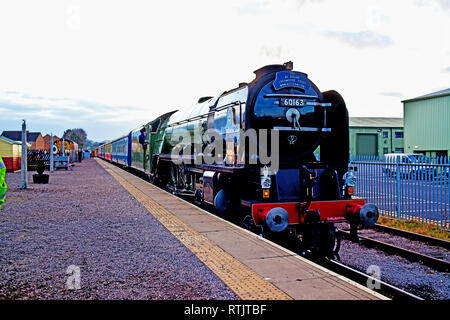 A1 Pacific Aucun 60163 Tornado à Leeming Bar, Wensleydale Railway, North Yorkshire, Angleterre Banque D'Images