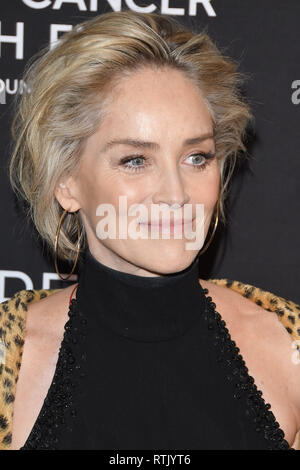 Beverley Hills, Californie, États-Unis. 28 Février, 2019. Sharon Stone au 2019 "Une soirée inoubliable" au profit du Women's Cancer Research Fund a tenu à l'hôtel Beverly Wilshire Beverly Hills à Los Angeles, CA le jeudi 28 février, 2019. Crédit photo : RPAC / PictureLux PictureLux / Crédit : Les Archives de Hollywood/Alamy Live News Banque D'Images