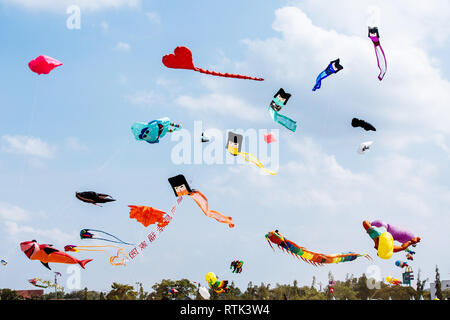 Johor Bahru, Malaisie. 1er mars 2019. Divers cerfs-volants voler dans le ciel pendant la 24e Pasir Gudang World Kite Festival à Pasir Gudang, de l'État de Johor, Malaisie, le 1 mars 2019. Les participants de plus de 40 pays et régions ont pris part à la compétition de cerf-volant et l'événement pendant les cinq jours du festival. Credit : Zhu Wei/Xinhua/Alamy Live News Banque D'Images