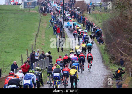 Gand, 02-03-2019, randonnée à vélo, Omloop Het Nieuwsblad, pavés Haaghoek Banque D'Images