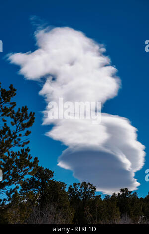 Les formations de nuages lenticulaires contre ciel bleu cobalt ; centre du Colorado, USA Banque D'Images