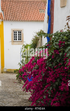 Fleurs sur une vieille rue avec mosaïque et bâtiments colorés dans la ville médiévale d'Obidos, Portugal, Europe Banque D'Images