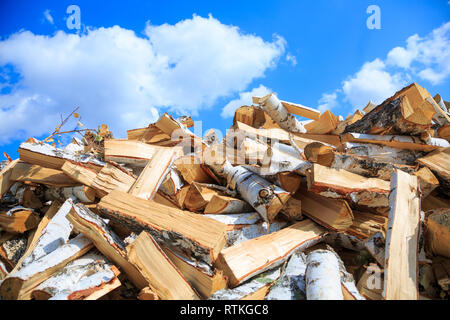 Pile de bois de chauffage. Préparation du bois de chauffage pour l'hiver et les utiliser pour la cuisson, bois de chauffage arrière-plan, des piles de bois de chauffage dans la forêt. Banque D'Images