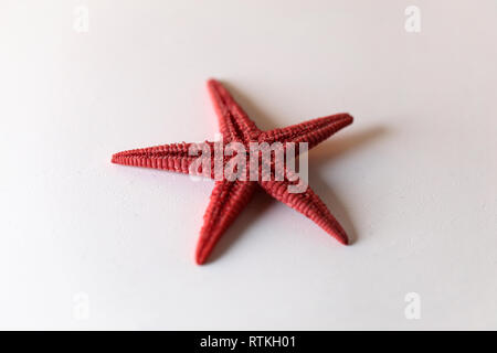 Still Life photo d'une belle étoile rouge sur un tableau blanc. Joli souvenir de vacances au bord de la mer. Macro image avec les couleurs. Banque D'Images