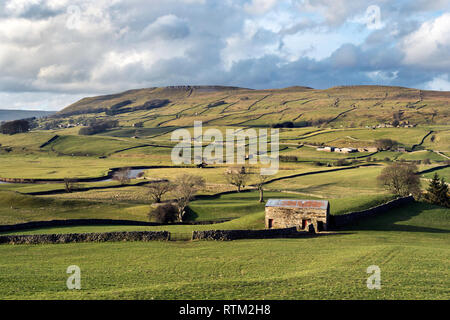 Vue nord-ouest le long de Wensleydale, près de Hawes, Yorkshire Dales National Park. Rivière Ure dans le centre et de cerfs est tombé et Abbotside derrière commun. Banque D'Images