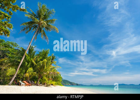 Palmiers sur une belle plage tropicale sur l'île de Koh Chang en Thaïlande Banque D'Images