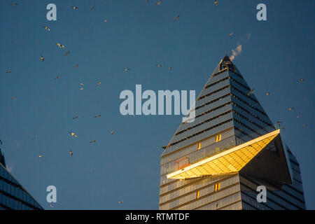 A Flock of seagulls autour de 30 chantiers d'Hudson, montrant le pont d'observation en porte-à-faux en construction, à Hudson Yards à New York le mardi, 26 février 2019. (Â© Richard B. Levine) Banque D'Images