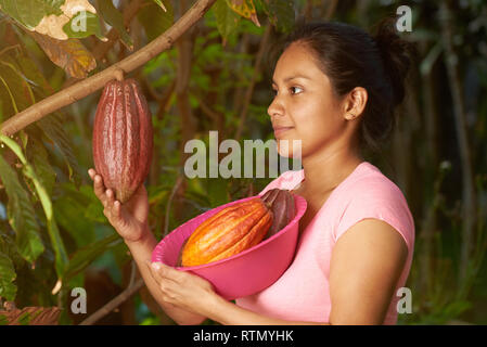 Jeune femme fermier avec cacao pods sur fond ferme ensoleillée Banque D'Images